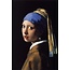 Wandkraft Girl with a Pearl Earring by Johannes Vermeer