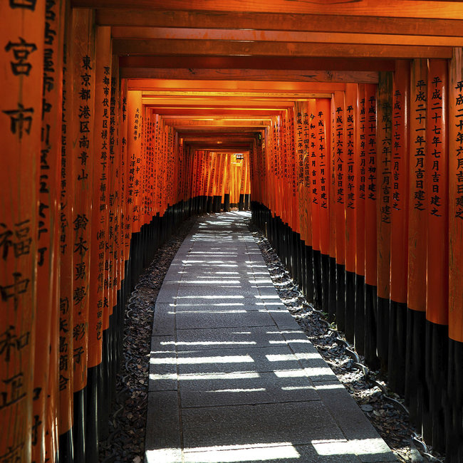 Wandkraft Land of the Rising Sun 032