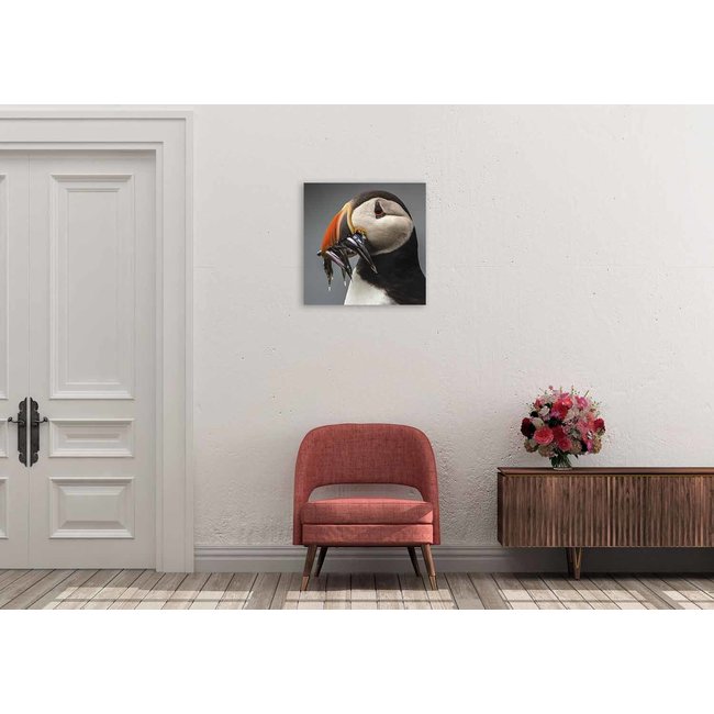 Wandkraft Summer Time 008