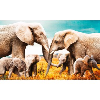 Wandkraft The Elephant Family