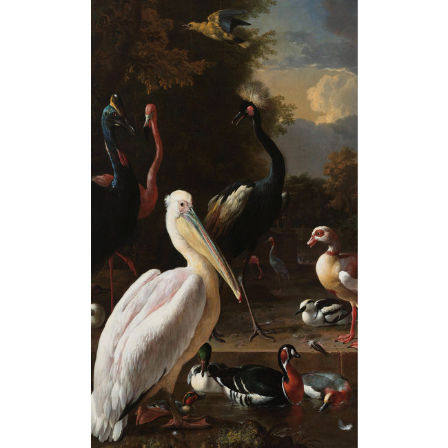 Wandkraft The floating feather by Melchior d'Hondecoeter