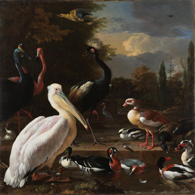 Wandkraft The floating feather by Melchior d'Hondecoeter