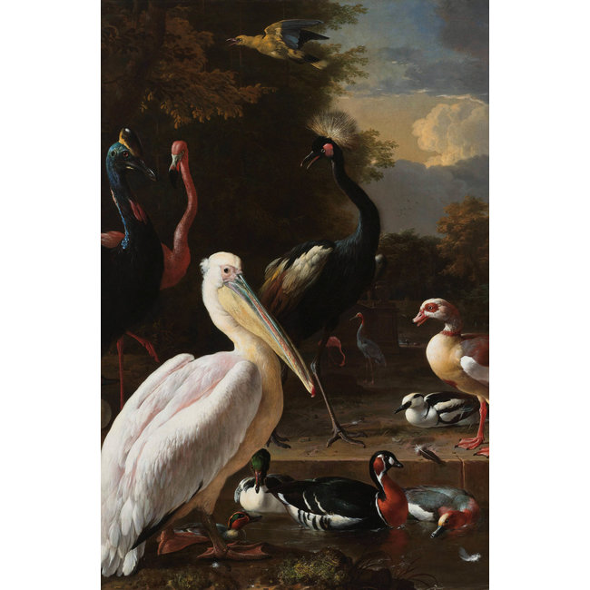 Wandkraft The floating feather by Melchior d'Hondecoeter