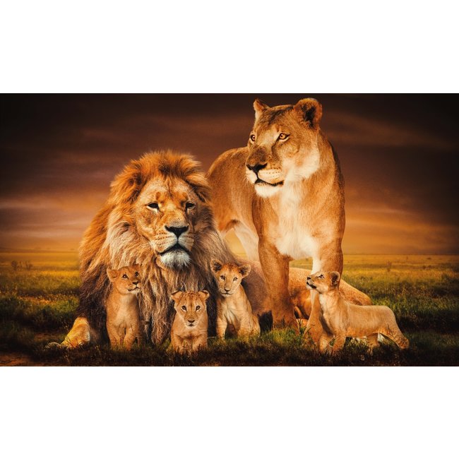 Wandkraft The Lion Family