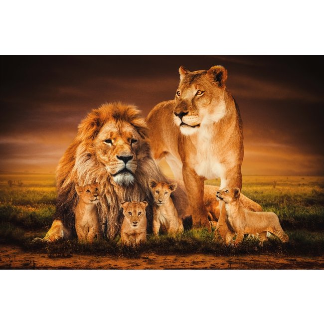 Wandkraft The Lion Family