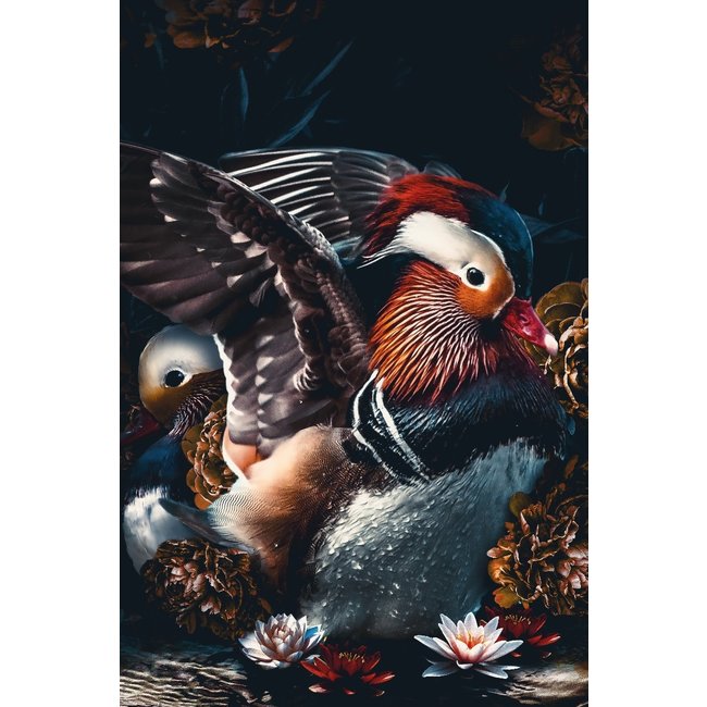 Wandkraft The Mandarin Ducks