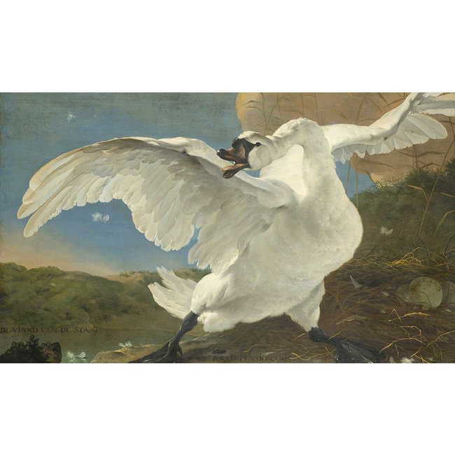 Wandkraft The Threatened Swan by Jan Asselijn