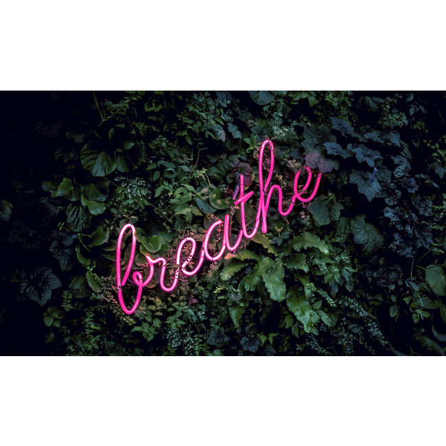 Wandkraft Travel Stories 027