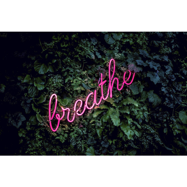 Wandkraft Travel Stories 027