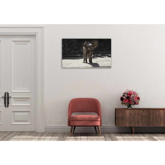 Wandkraft Wildlife 005