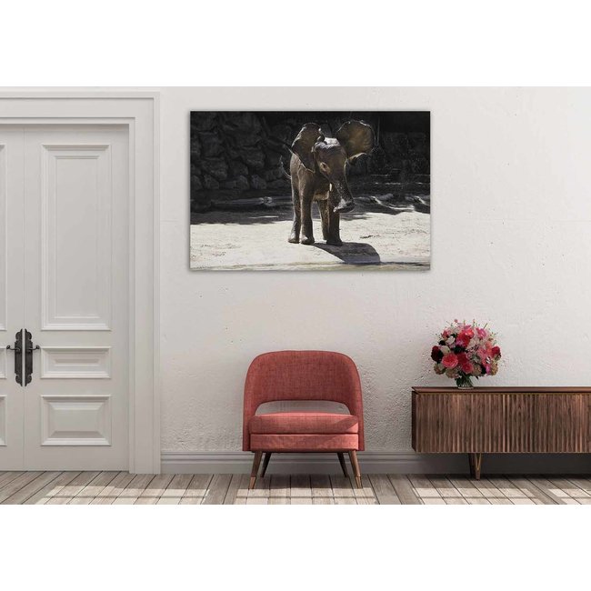 Wandkraft Wildlife 005