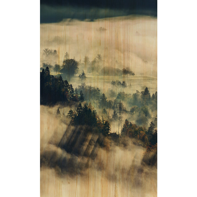 Wandkraft Winter Wonders 003