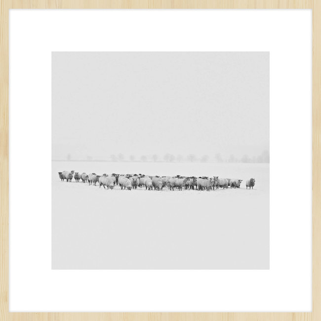 Wandkraft Winter Wonders 009