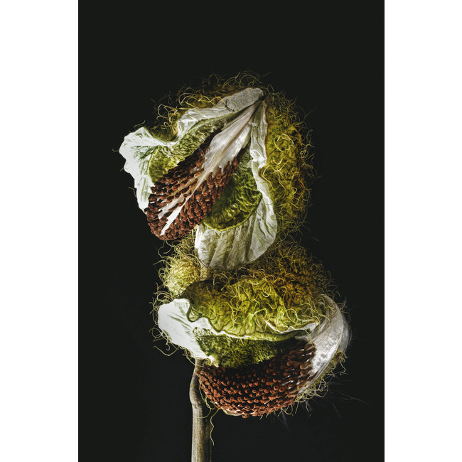 Wandkraft Wonderful Life 005