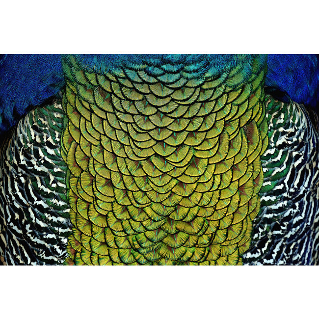 Wandkraft Wonderful Life 011