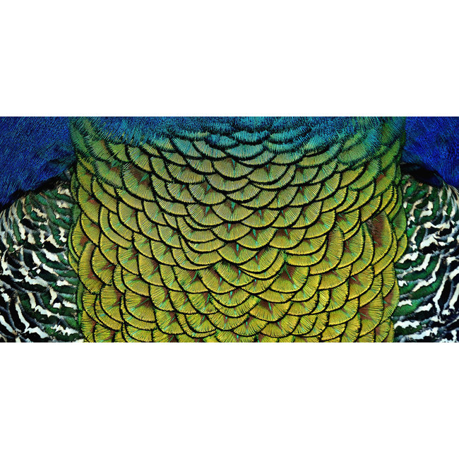 Wandkraft Wonderful Life 011