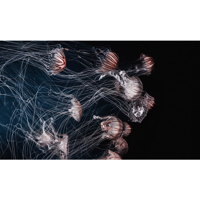 Wandkraft Wonderful Life 013