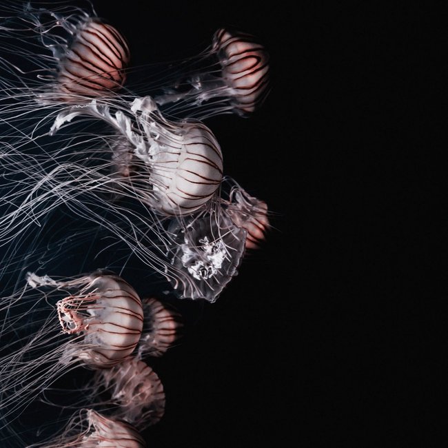 Wandkraft Wonderful Life 013