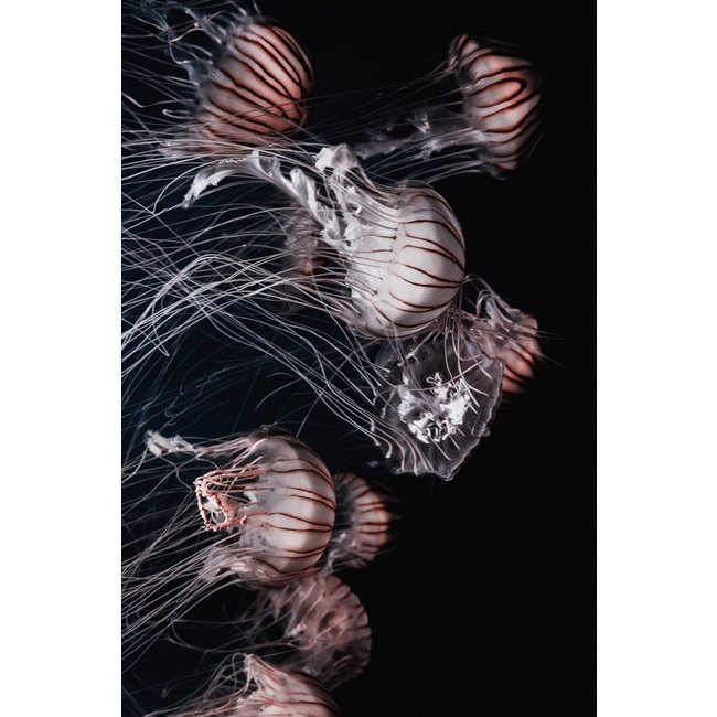 Wandkraft Wonderful Life 013