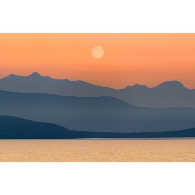 Wandkraft Art of Nature 045