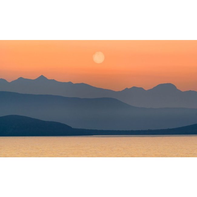 Wandkraft Art of Nature 045