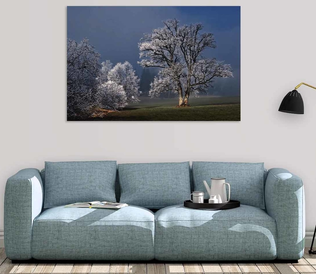 Thema – Winter Wonders