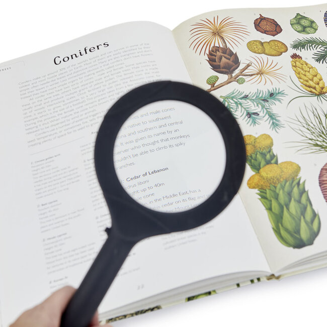 Balvi Vergrootglas Zoom met licht