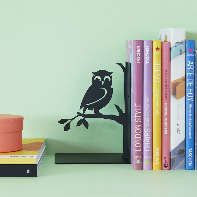 Balvi Boekensteun Uil