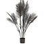 Light & Living Ornament in pot PALMTREE mat zwart - 2 maten