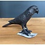 Light & Living Ornament 19x5x11 cm BIRD zwart