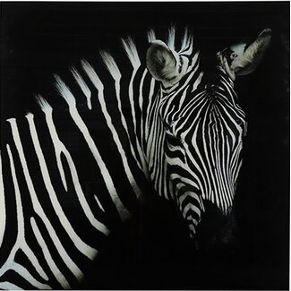 Countryfield Schilderij zebra Wild life L