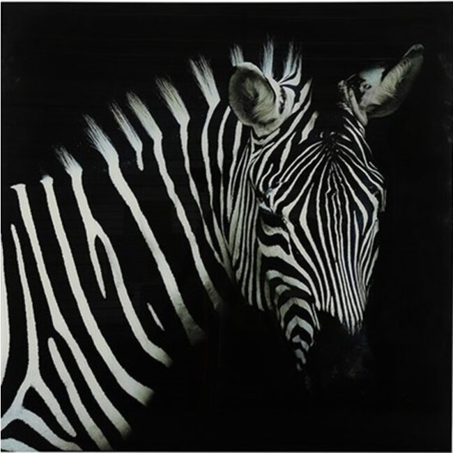 Countryfield Schilderij zebra Wild life L