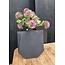 Light en Living Vaas deco 27,5x7x32,5 cm MAKAHA mat zwart