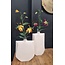 Light en Living Vaas deco 21x7,5x41 cm MAKAHA crème