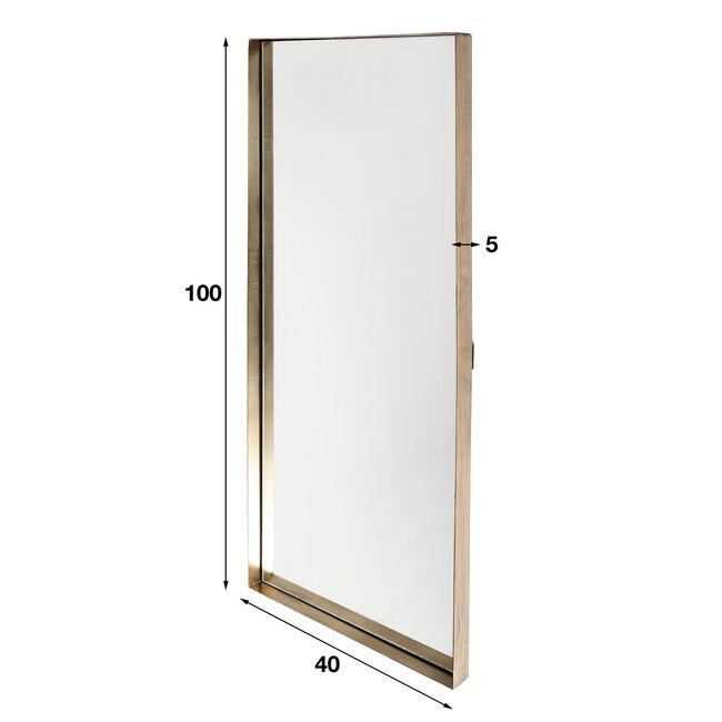 WoonStijl Spiegel 40x100 opstaande rand goudkleurig