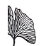 Light & Living Ornament op voet 36x6x39 cm LEAF mat  zwart