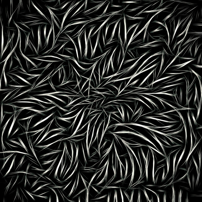 Wandkraft Voluntary Entangled