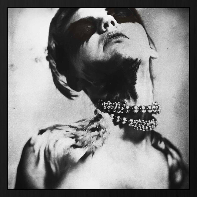 Wandkraft Owned By Love