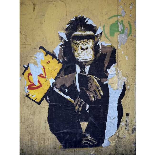 Wandkraft Monkey Business