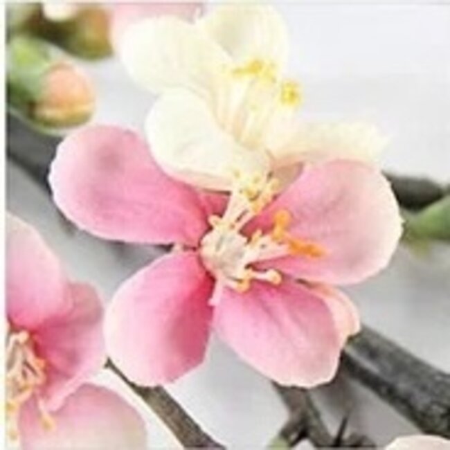 Countryfield Kunsttak Bloesem Quince S roze