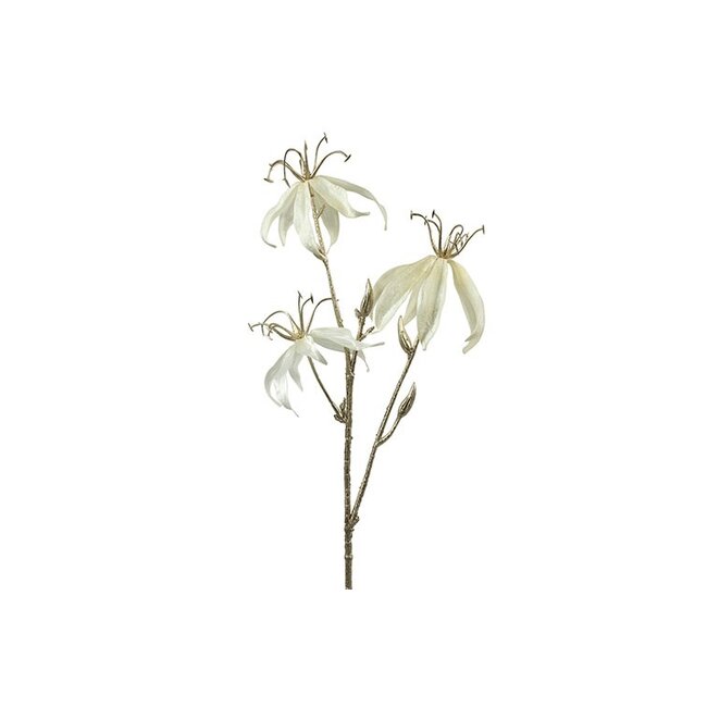 Countryfield Kunsttak Gloriosa S crème