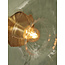 its about RoMi Wandlamp glas Brussels Ø 27 goud/transparant