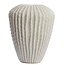 Light & Living Vaas deco Ø52x65 cm CACTI beige