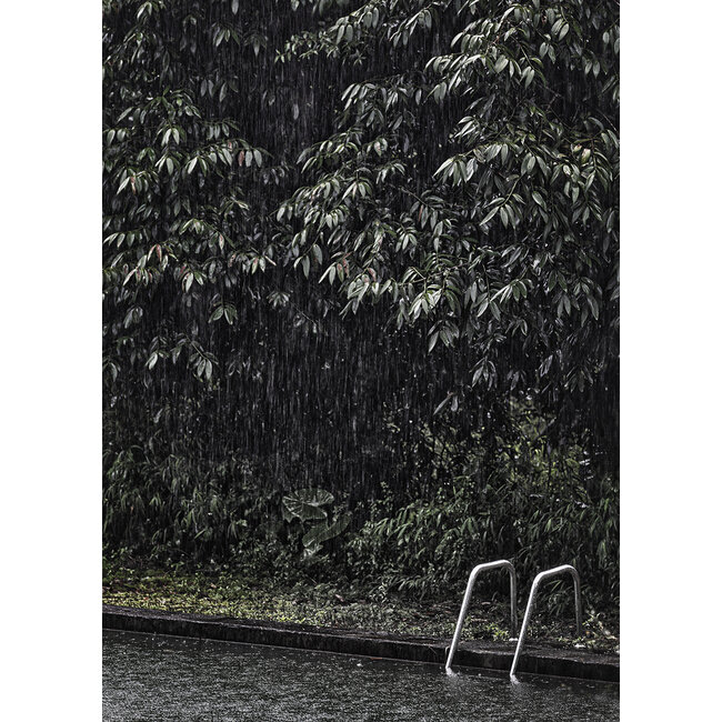 Wandkraft Swimming Pool in Rainforest