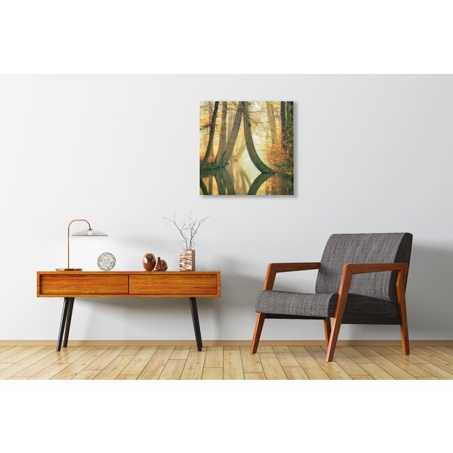 Wandkraft Waterjuffers