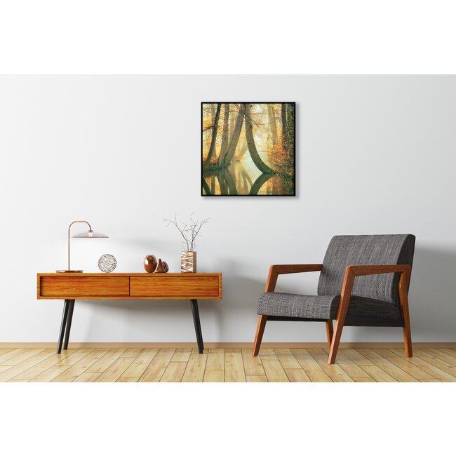 Wandkraft Waterjuffers