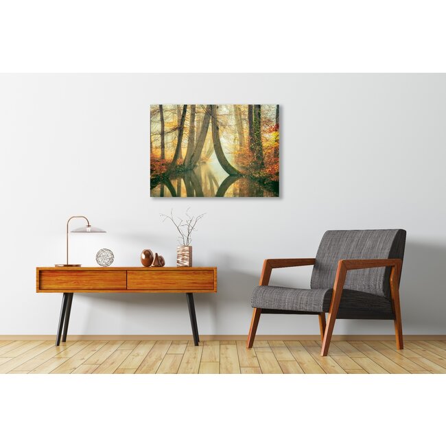 Wandkraft Waterjuffers