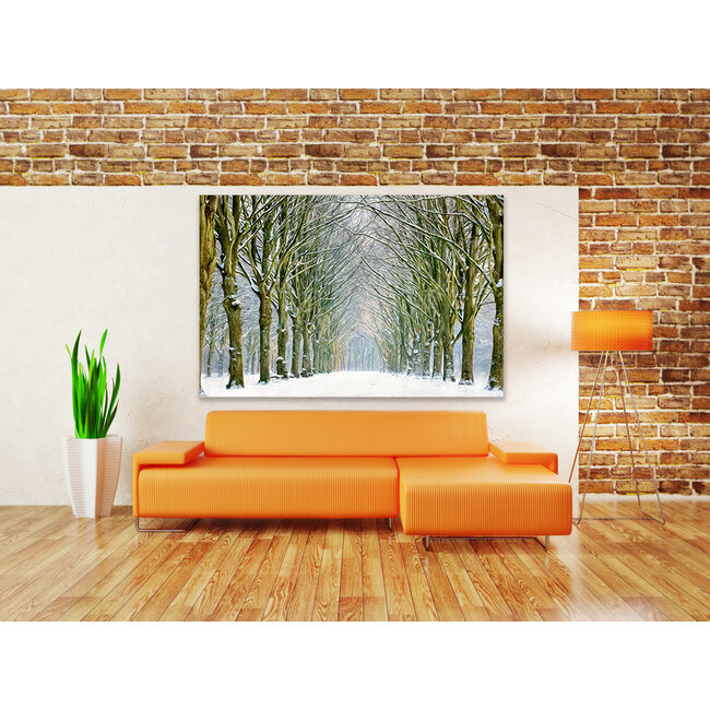 Wandkraft Tunnel of Trees