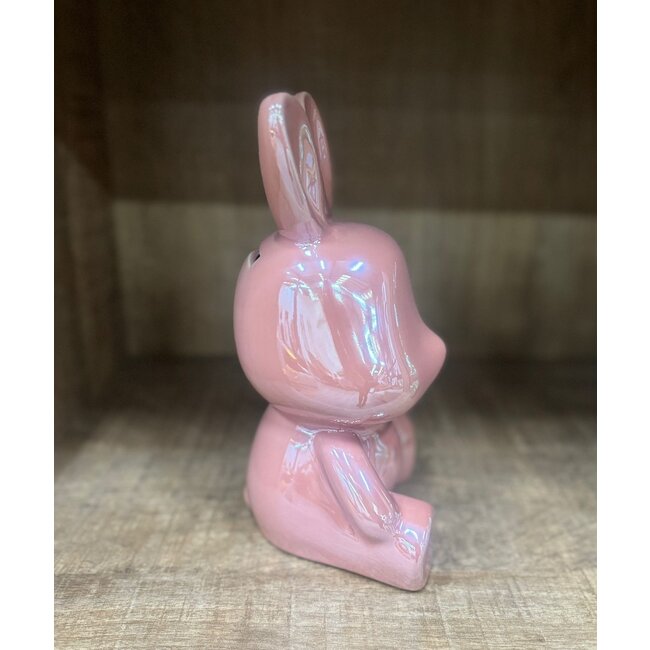 Countryfield Spaarhaas Pascal L roze