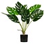 Woood Monstera kunstplant groen 70 cm